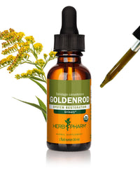 Thumbnail for Herb Pharm Certified Organic Goldenrod Liquid Extract for Urinary System Support, 1 Fl Oz (Pack of 1)