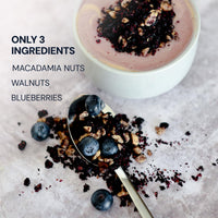 Thumbnail for Blueprint Bryan Johnson Blueberry Nut Mix - Real Blueberries, Roasted Macadamia Nuts and Walnuts - No Additives or Added Sugars - Keto and Paleo Friendly - 170mg Polyphenols (30 Servings)