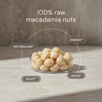 Thumbnail for Blueprint Bryan Johnson Raw Macadamia Nuts - No Palm Oil - Keto and Low Carb Snack - No Added Sugar, Vegan, Non GMO, Keto and Paleo Friendly (4 Ounces)