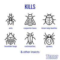 Thumbnail for TERRO T1700SR 19 oz Outdoor Ant Killer Spray