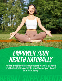 Thumbnail for BulkSupplements.com American Ginseng Extract Powder - Ginseng Supplement, Herbal Supplements - Gluten Free, 1g per Serving, 5kg (11 lbs) (Pack of 5)