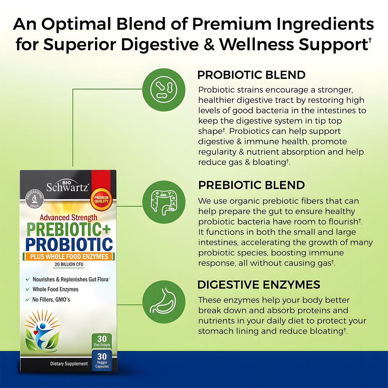 Advanced Prebiotics and Probiotics for Women & Men, Immune, Digestive & Gut Health with L. Reuteri, Inulin Fiber, Digestive Enzymes, Non-GMO, Gluten-Free, Dairy-Free, 30 Capsules