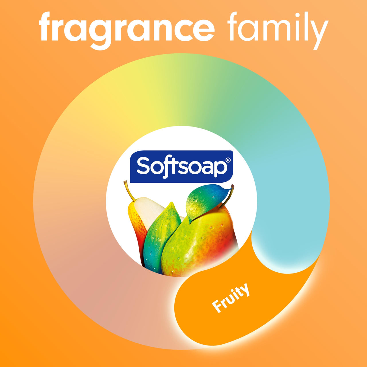Softsoap Antibacterial Liquid Hand Soap, Crisp Clean Scent, 11.25 Ounce, 6 Pack