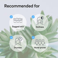 Thumbnail for Abib Collagen Gel Mask Sedum Jelly 4 Sheets (Hydrating) I Korean Vegan Collagen, Cooling Hydrating Hyaluronic Acid Hydrogel Face Mask Skin Care