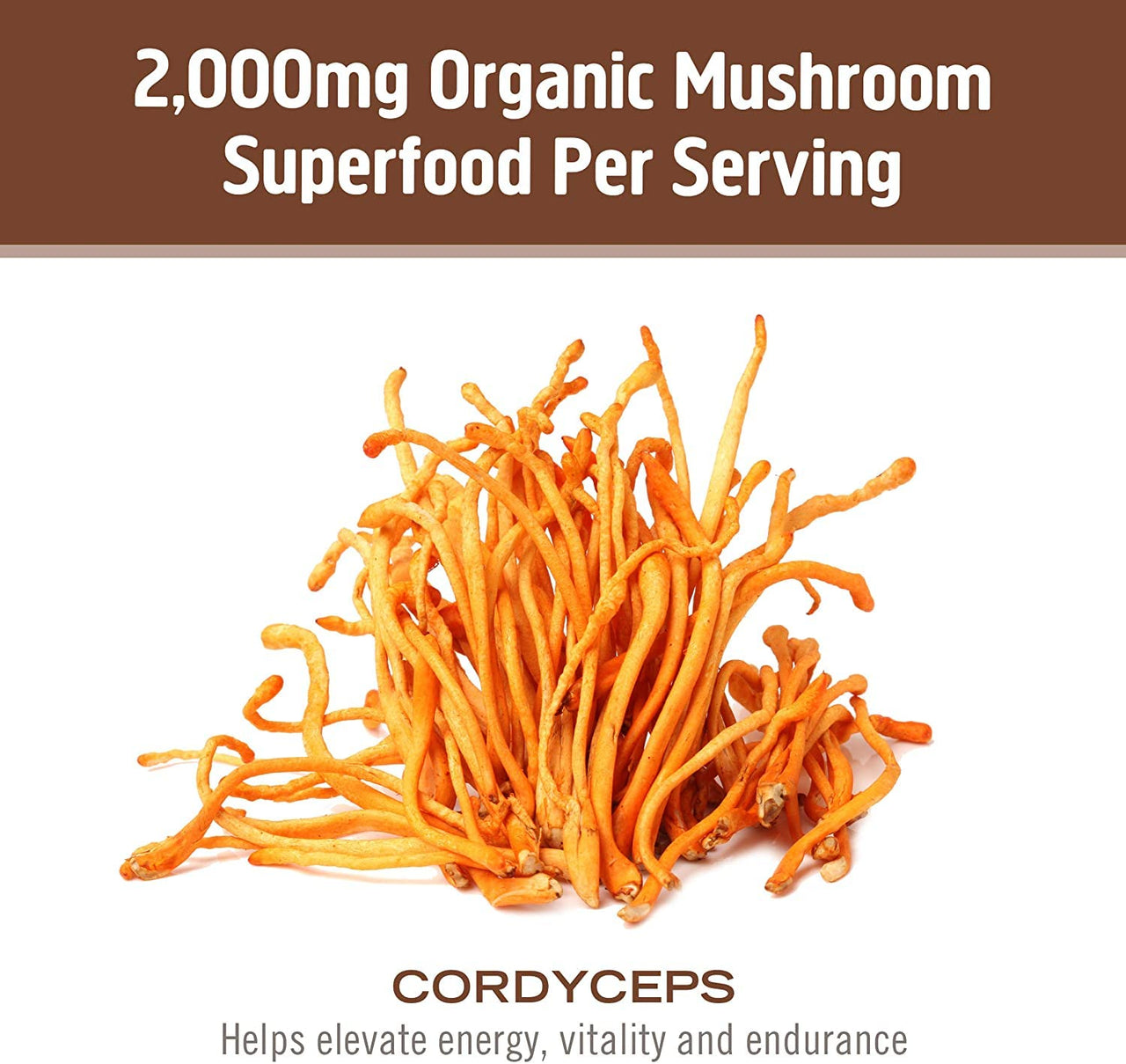 OM MUSHROOM SUPERFOOD Cordyceps Mushroom Capsules Superfood Supplement, 90 Count, 30 Days, Organic Energy Supplement for Stamina and Endurance