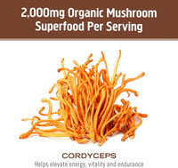 Thumbnail for OM MUSHROOM SUPERFOOD Cordyceps Mushroom Capsules Superfood Supplement, 90 Count, 30 Days, Organic Energy Supplement for Stamina and Endurance