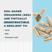 Thumbnail for Ancient Nutrition Probiotics, SBO Probiotics Gut Restore 60 Ct, Promotes Gut Health, Digestive and Immune Support, Gluten Free, Ancient Superfoods Blend, 25 Billion CFUs* Per Serving
