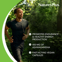 Thumbnail for NaturesPlus Herbal Actives Ashwagandha 450 mg - 60 Vegetarian Capsules - Prescription Quality - Gluten Free - 60 Servings