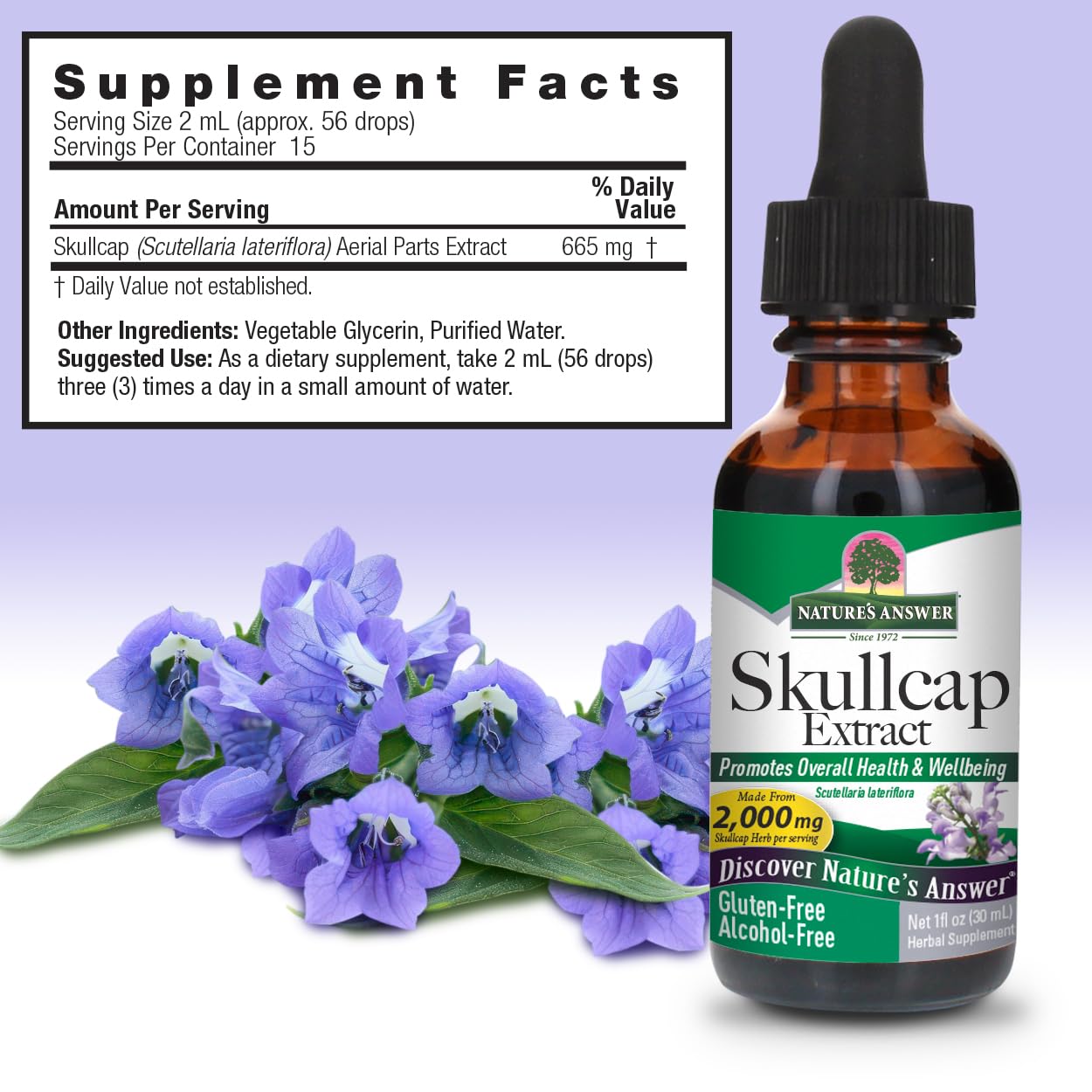 Nature's Answer Alcohol-Free Skullcap Herb, 1-Fluid Ounce