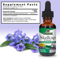 Thumbnail for Nature's Answer Alcohol-Free Skullcap Herb, 1-Fluid Ounce