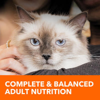 Thumbnail for IAMS Proactive Health Long Hair Care Dry Cat Food, Adult Cat Food Dry Recipe with Real Chicken, 6 lb. Bag