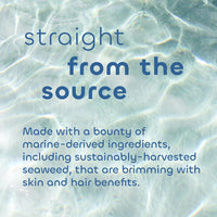 Thumbnail for Seaweed Bath Co. Bubbling Muscle Soak, Tea Tree Lavender Scent, 12 Ounce, Sustainably Harvested Seaweed, French Sea Clay, Arnica