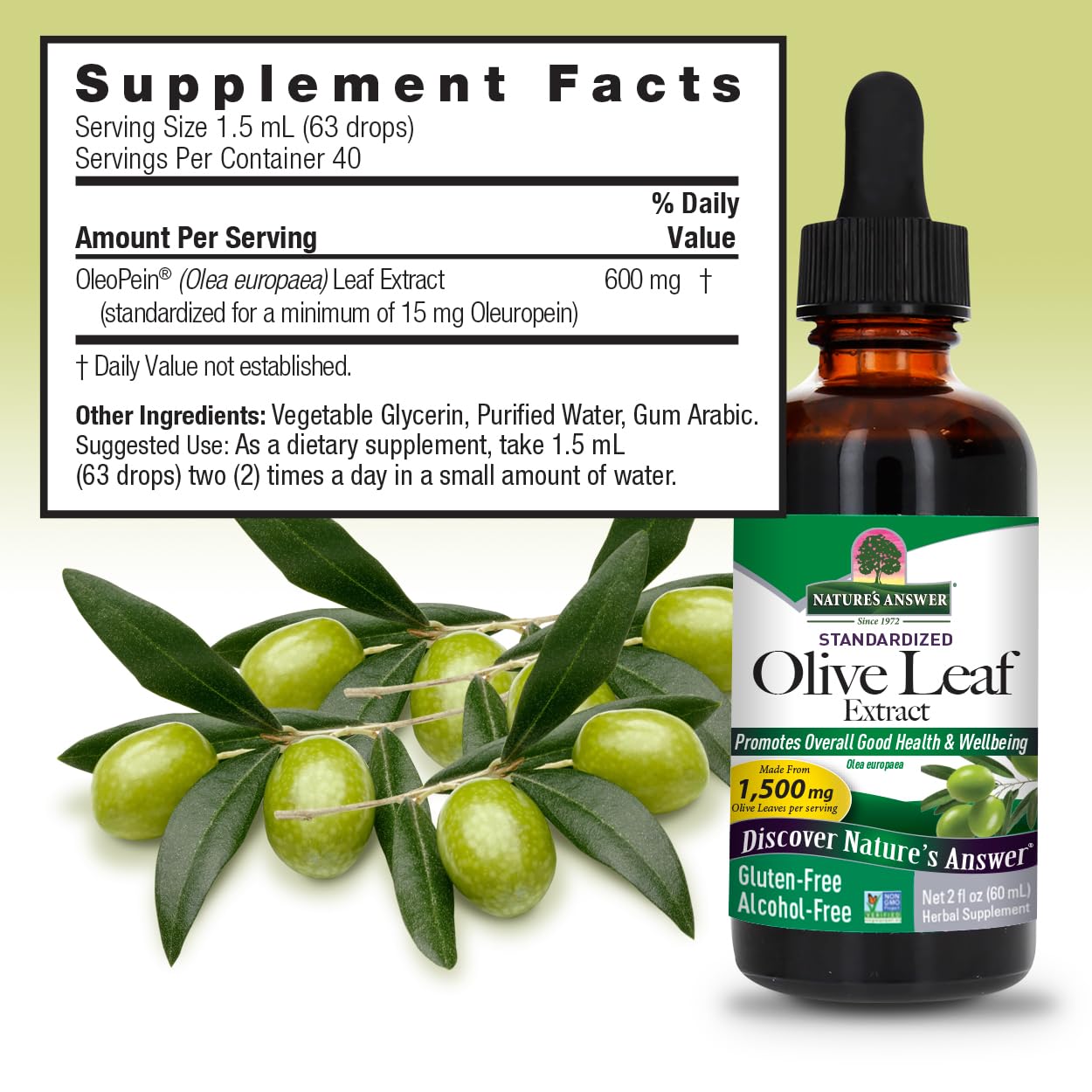 Nature's Answer Olive Leaf Extract, Alcohol-Free, Non-GMO, Vegan, Gluten-Free, Made in USA, 2 Ounce | Olive Leaf Extract for Wellness