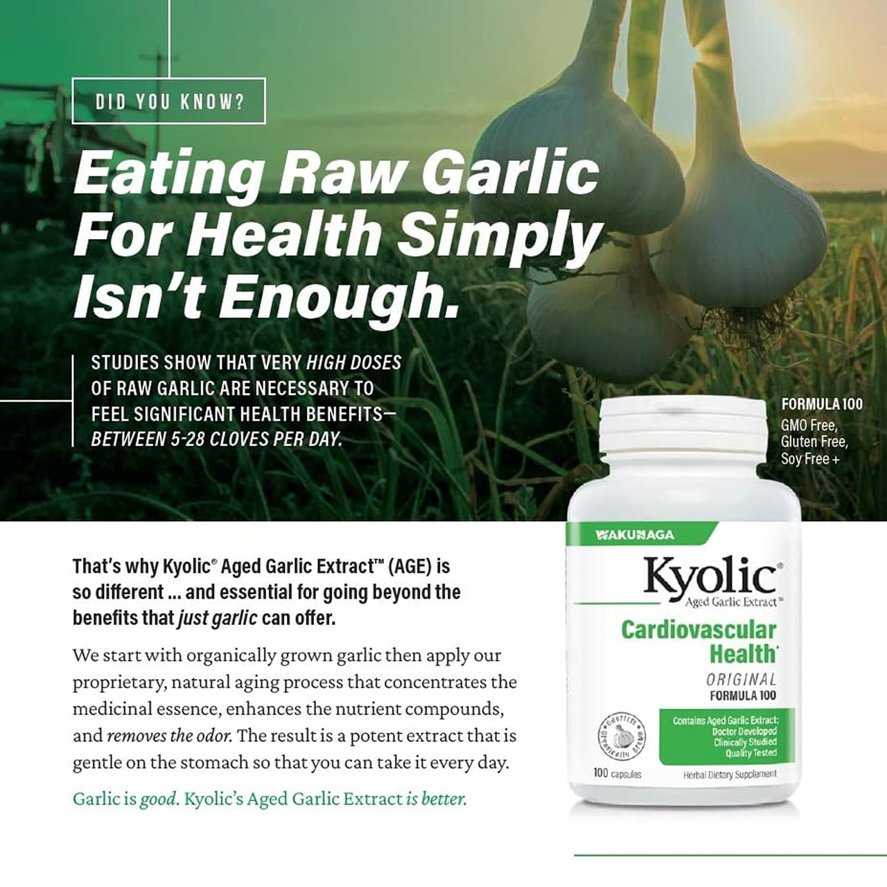 Kyolic Aged Garlic Extract Formula 300, Cardiovascular Health*, Vegan, 120 Capsules