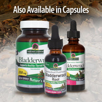Thumbnail for Nature's Answer Bladderwrack Thallus with Organic Low Alcohol 1 Fluid Ounce | Natural Immune Booster | Supports Digestion | Promotes a Healthy Thyroid