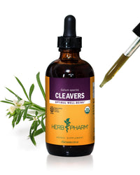 Thumbnail for Herb Pharm Cleavers Liquid Extract - 4 Ounce