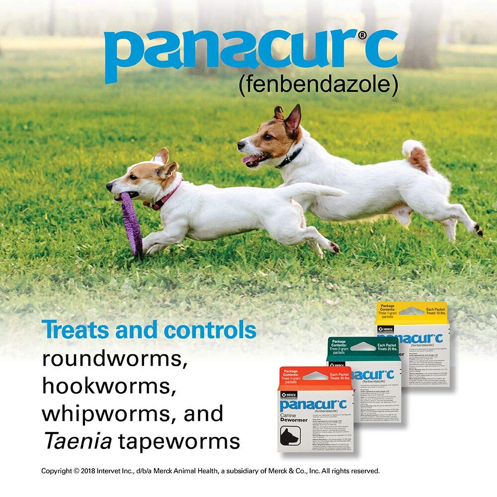 Panacur C Canine Dewormer (Fenbendazole), 4 Gram, 3 Count (Pack of 1), Red