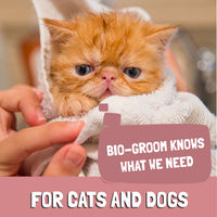 Thumbnail for Bio-Groom Ear Mite Treatment - Dog Ear Infection Treatment, Cruelty-Free, Made in USA, Dog Ear Drops, Gentle Wax Remover, Ear Cleaner for Dogs and Cats - 4 fl oz 1-Pack