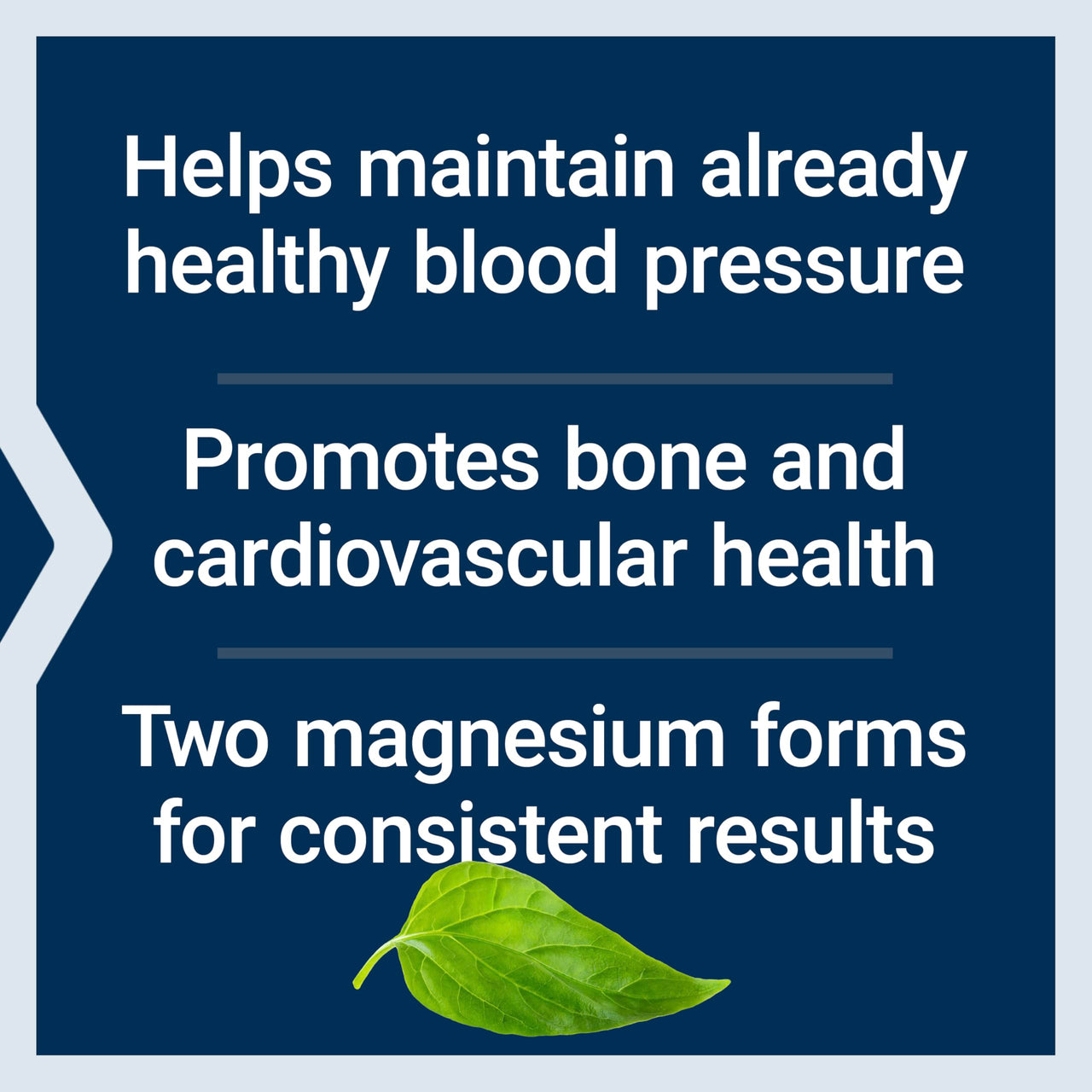 Life Extension Extend-Release Magnesium, prolonged Heart & Bone Health Support, Cardiovascular & Blood Pressure Health Support, bioavailable Formula, Gluten-Free, Non-GMO, Vegetarian, 60 Capsules