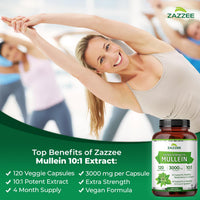 Thumbnail for Zazzee Extra Strength Mullein 10:1 Extract, 3000 mg Strength, 120 Vegan Capsules, 4 Month Supply, Certified Kosher, Lung and Respiratory Support, 100% Pure Leaf Powder, Non-GMO, Made in the USA