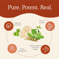 Thumbnail for Real Mushrooms RealClarity Capsules – Lion’s Mane, KSM-66 Ashwagandha, Rhodiola & Bacopa – Mental Sharpness, Alertness. & Adaptogenic Support – Vegan, Non-GMO – 60 Count Mushroom Supplement