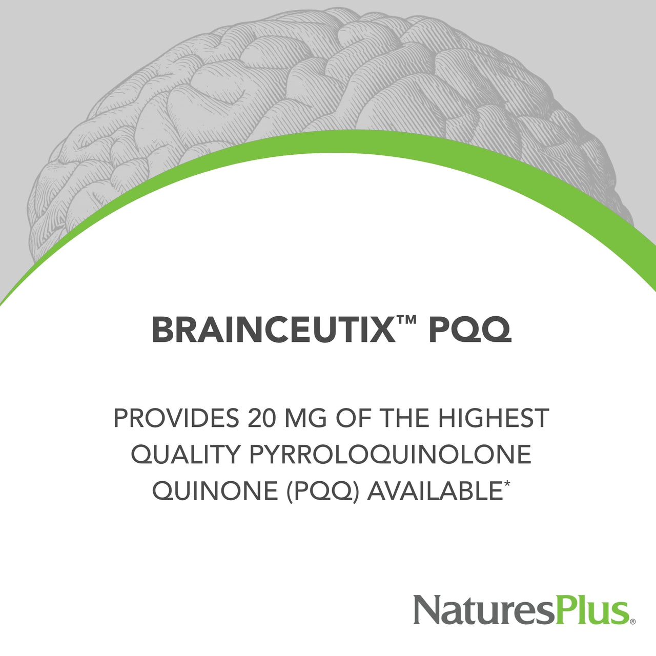 NaturesPlus Brainceutix PQQ - 60 Vegan Capsules - Supplement for Memory, Clarity & Brain Power - Enhanced Energy, Anti-Aging - Pyrroloquinoline Quinone (PQQ) - Vegetarian, Gluten-Free - 30 Servings