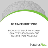 Thumbnail for NaturesPlus Brainceutix PQQ - 60 Vegan Capsules - Supplement for Memory, Clarity & Brain Power - Enhanced Energy, Anti-Aging - Pyrroloquinoline Quinone (PQQ) - Vegetarian, Gluten-Free - 30 Servings