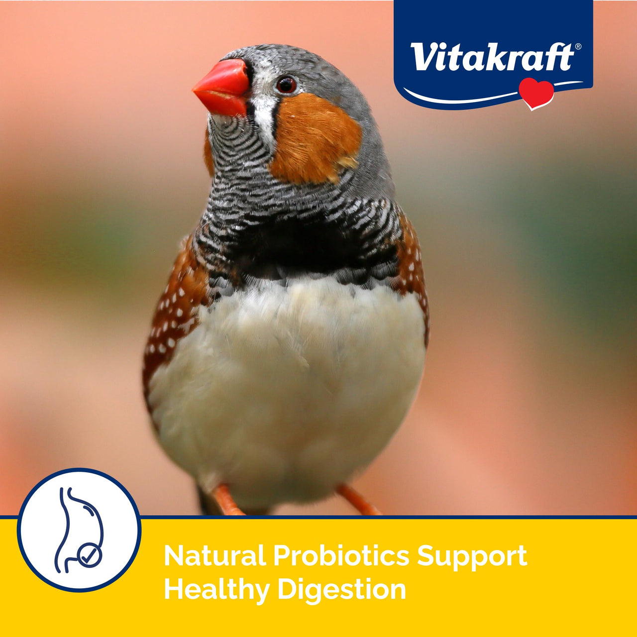 Vitakraft Menu Premium Canary and Finch Food - Vitamin-Fortified - Daily Food for Small Pet Birds Browns 2.5 Pound (Pack of 1)