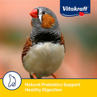 Thumbnail for Vitakraft Menu Premium Canary and Finch Food - Vitamin-Fortified - Daily Food for Small Pet Birds Browns 2.5 Pound (Pack of 1)