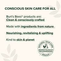 Thumbnail for Burt's Bees Lip Balm - Original Beeswax, Lip Moisturizer With Responsibly Sourced Beeswax, Tint-Free, Natural Origin Conditioning Treatment, 4 Tubes, 0.15 oz.