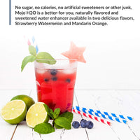 Thumbnail for BioTrust Mojo H2O Natural Water Enhancer Drops, B Vitamins and Electrolytes, Sugar-Free, Zero Calories, Naturally Flavored & Sweetened (Strawberry Watermelon, 4 pk)
