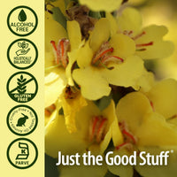 Thumbnail for Nature's Answer Alcohol-Free Mullein Flower Ear Oil