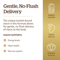 Thumbnail for Solgar No-Flush Niacin 500 mg, 250 Vegetable Capsules - Supports Energy Metabolism - No-Flush Delivery - Vegan, Gluten Free, Dairy Free, Kosher - 250 Servings