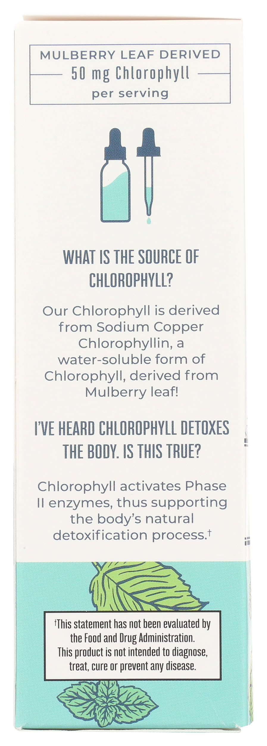 Mary Ruth's Chlorophyll Liquid Drops, 2 FZ