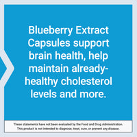 Thumbnail for Life Extension Blueberry Extract Capsules, supports cognitive & memory health, helps maintain already-healthy cholesterol levels, fights oxidative stress, gluten-free, non-GMO, vegetarian, 60 capsules