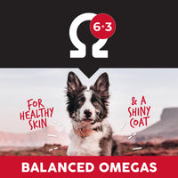 Thumbnail for ULTIMATES Chicken Meal & Rice Dry Dog Food 5 lb