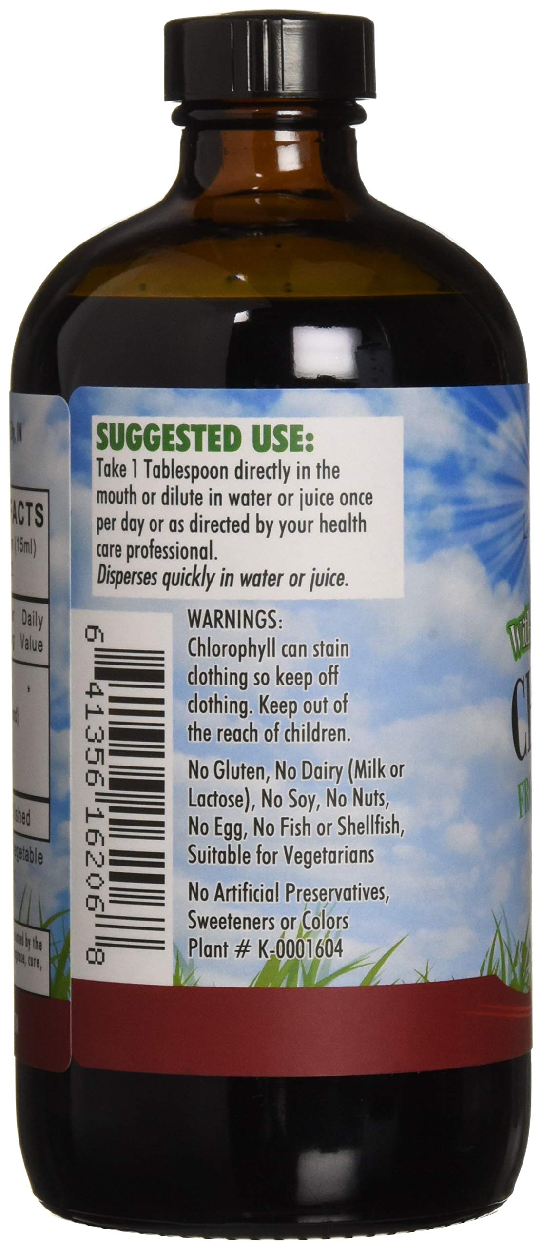L A NATURALS Chlorophyll 100mg withspearmint, 0.02 Pound