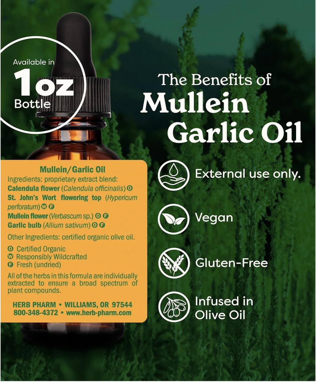 Herb Pharm Mullein Garlic Herbal Oil - contains Calendula, Garlic, Mullein flower, St. John's Wort, Olive Oil, 1 Ounce
