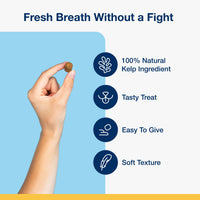 Thumbnail for ProDen PlaqueOff Soft Chews with Natural Kelp - for All Breed Cats - Supports Normal, Healthy Teeth, Gums, and Breath Odor in Cats - 45 Soft Chews