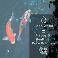 Thumbnail for MICROBE-LIFT PL Pond and Outdoor Water Garden Cleaner, Safe for Live Koi Fish, Plant Life, and Decor, 1 Gallon