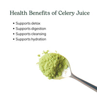 Thumbnail for Eclectic Herb - Celery Juice Powder | Nutritional Supplement | Hydration + Wellness Support, Vitamins + Minerals | Freeze Dried, USDA Organic, Non-GMO, Vegan (3.2 oz | 90 g)