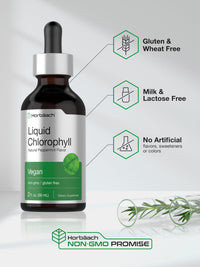 Thumbnail for Horbäach Liquid Chlorophyll Drops | 2 oz | Vegan, Non-GMO, and Gluten Free Formula | Natural Peppermint Flavor