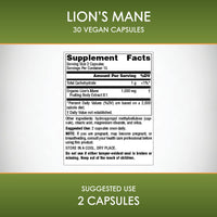 Thumbnail for Planetary Herbals Lion's Mane, for Memory, Focus, and Mood*, 1,000 mg - 30 Vegan Capsules