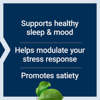 Thumbnail for Life Extension L-Tryptophan, 500 mg, Encourages Healthy Serotonin Levels and Promotes Healthy Sleep, Mood, Stress Response & Satiety, Gluten-Free, Non-GMO, Vegetarian, 90 Capsules