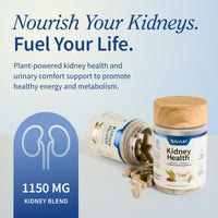 Thumbnail for Snap Supplements Kidney Health Support Supplement - Kidney and Urinary Tract Health Support for Women and Men, 60 Vegetarian Capsules (30 Servings, 1 Month Supply)