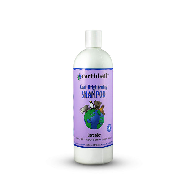 earthbath, Lavender Dog Shampoo - Coat Brightening Shampoo for Dogs, Deodorizing Dog Wash, Made in USA, Shampoo for Smelly Dogs, Cruelty Free Pet Shampoos - 16 Oz (1 Pack)
