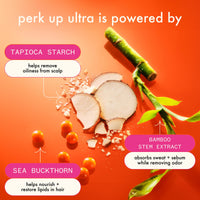 Thumbnail for amika Perk Up Ultra Oil Control Dry Shampoo, 1.8oz