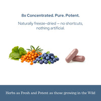 Thumbnail for Eclectic Herb - Eye Food Capsules | Vision Support, Superfood Vitamin and Mineral Supplement | Supports Eye Health | Bilberry + Ginkgo | Vegan, Non GMO, Gluten Free (90 CT | 450 mg)