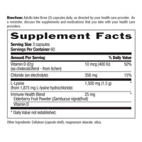 Thumbnail for Country Life L-Lysine 1500mg Capsules with Vitamin D & Elderberry – Advanced Immune Support and Collagen Renewal – Certified Gluten-Free & Vegan – 180 Capsules
