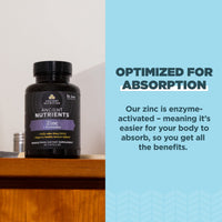 Thumbnail for Ancient Nutrition Probiotics and Zinc Supplement, Supports Healthy Immune System and Gut Health, Made Without GMOs, Superfoods Supplement, Paleo and Keto Friendly, 30 Count